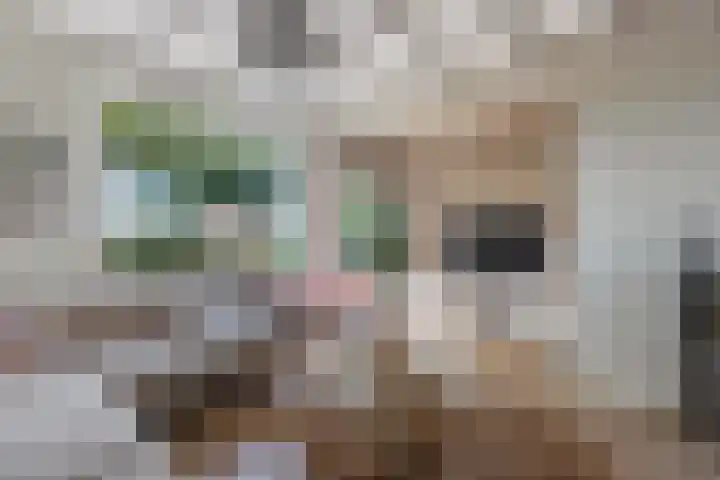 Vollenhoverweg 17 A Marknesse thumbnail 22