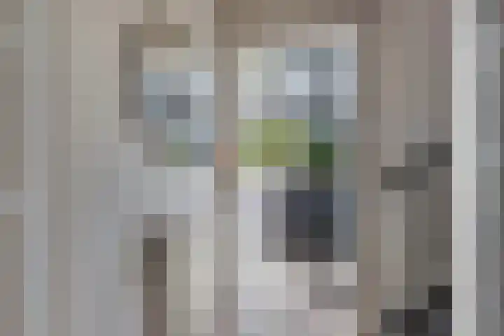 Vollenhoverweg 17 A Marknesse thumbnail 23