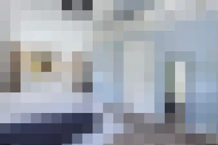 Vollenhoverweg 17 A Marknesse thumbnail 29