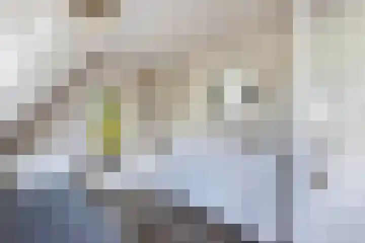 Vollenhoverweg 17 A Marknesse thumbnail 32