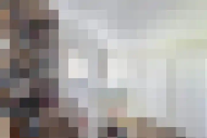 Vollenhoverweg 17 A Marknesse thumbnail 33