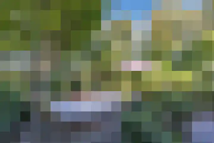 Vollenhoverweg 17 A Marknesse thumbnail 34