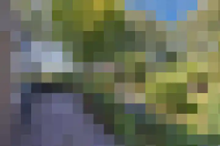 Vollenhoverweg 17 A Marknesse thumbnail 35