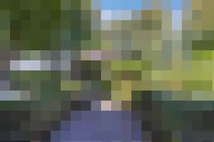 Vollenhoverweg 17 A Marknesse thumbnail 36