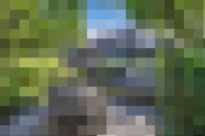Vollenhoverweg 17 A Marknesse thumbnail 37