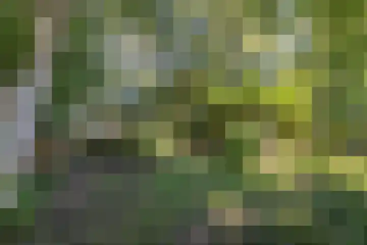 Vollenhoverweg 17 A Marknesse thumbnail 38