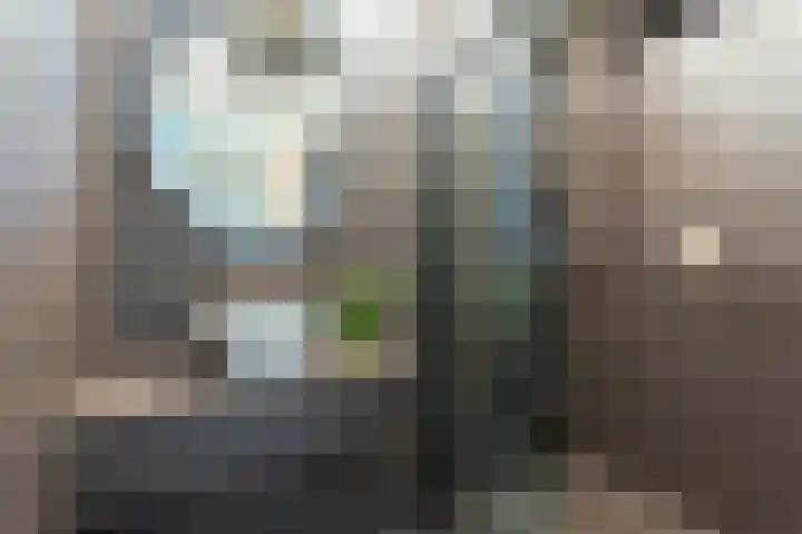 Vollenhoverweg 17 A Marknesse thumbnail 4