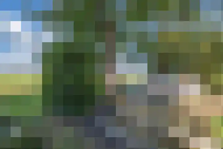 Vollenhoverweg 17 A Marknesse thumbnail 40