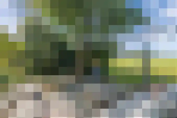 Vollenhoverweg 17 A Marknesse thumbnail 41