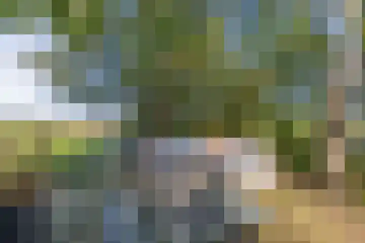 Vollenhoverweg 17 A Marknesse thumbnail 42
