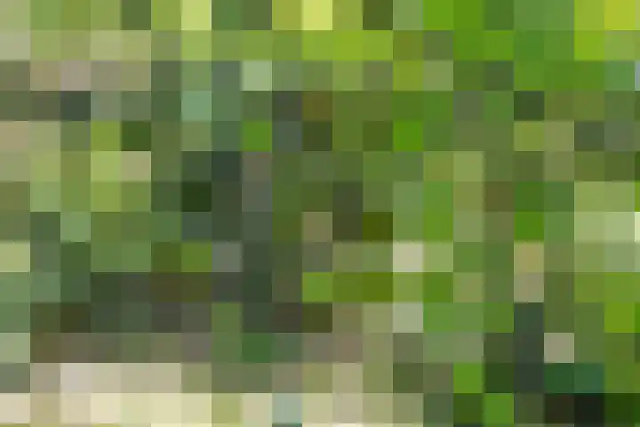 Vollenhoverweg 17 A Marknesse thumbnail 43