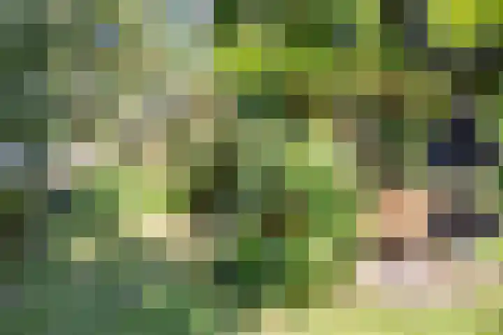 Vollenhoverweg 17 A Marknesse thumbnail 44