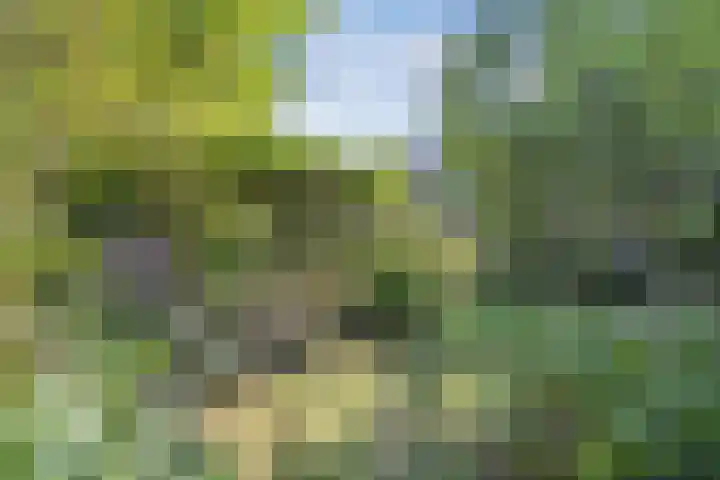 Vollenhoverweg 17 A Marknesse thumbnail 45