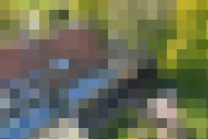 Vollenhoverweg 17 A Marknesse thumbnail 46