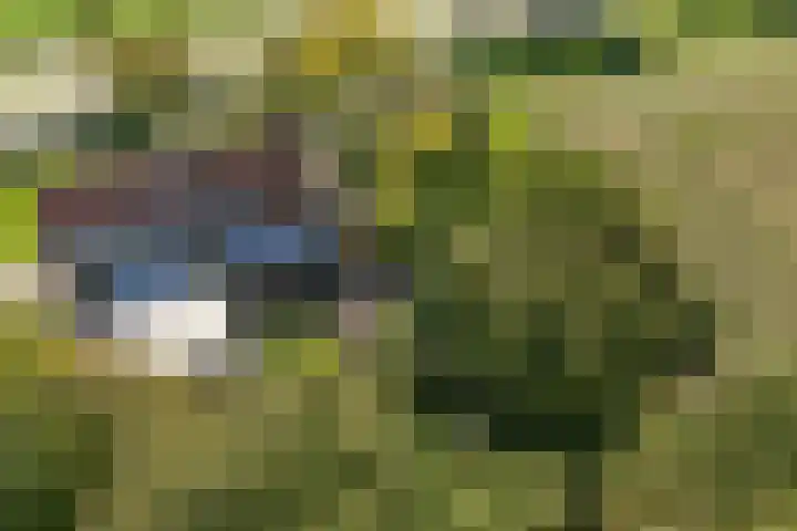 Vollenhoverweg 17 A Marknesse thumbnail 48
