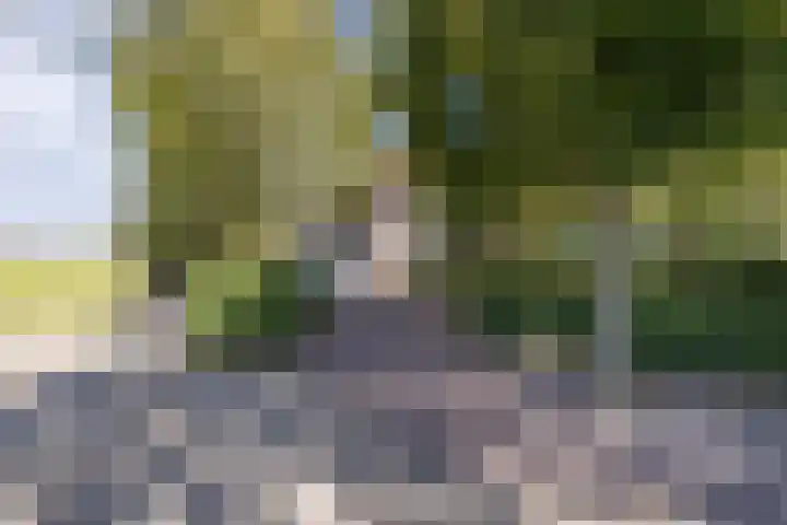 Vollenhoverweg 17 A Marknesse thumbnail 6