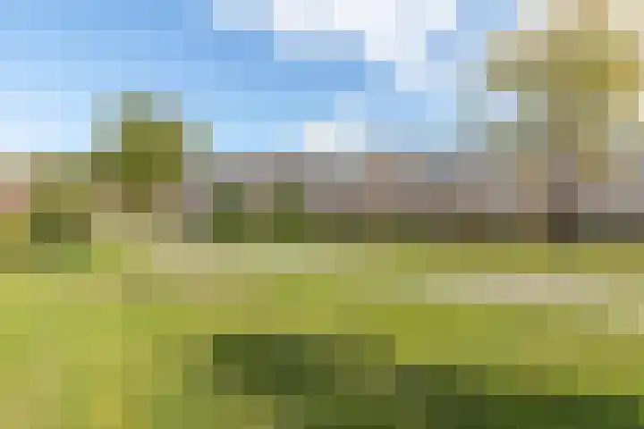 Vollenhoveschans 56 Almere thumbnail 28