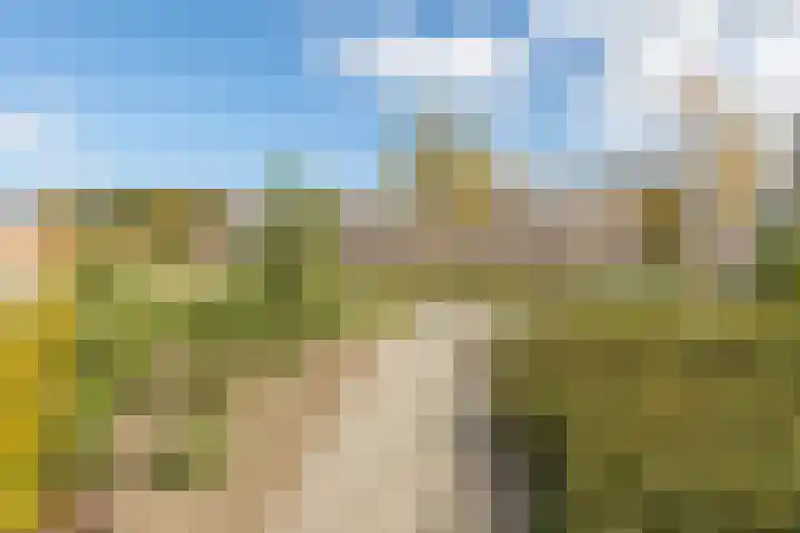 Vollenhoveschans 56 Almere thumbnail 4