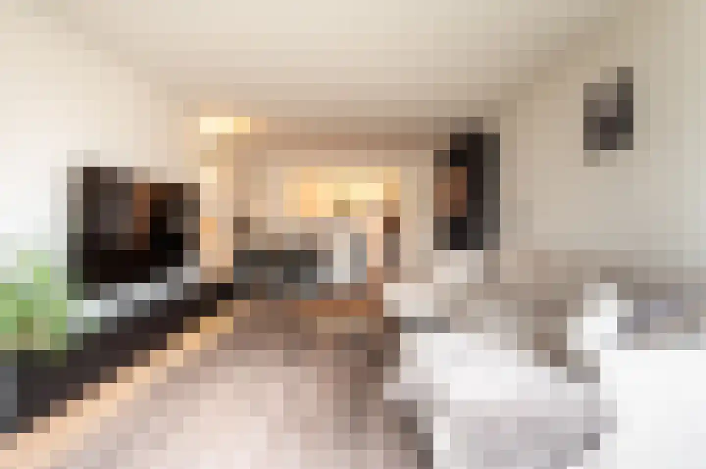 Vollenhoveschans 67 Almere thumbnail 6