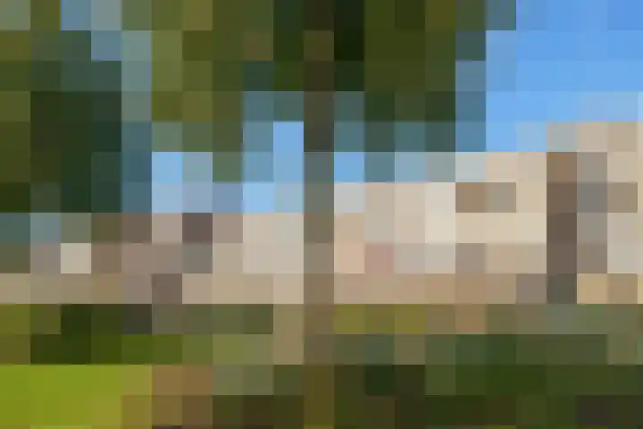 Vollenhoveschans 85 Almere thumbnail 37