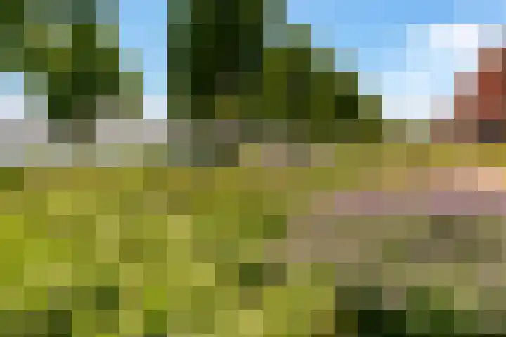 Vollenhoveschans 90 Almere thumbnail 57