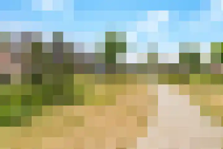 Vollenhoveschans 90 Almere thumbnail 61