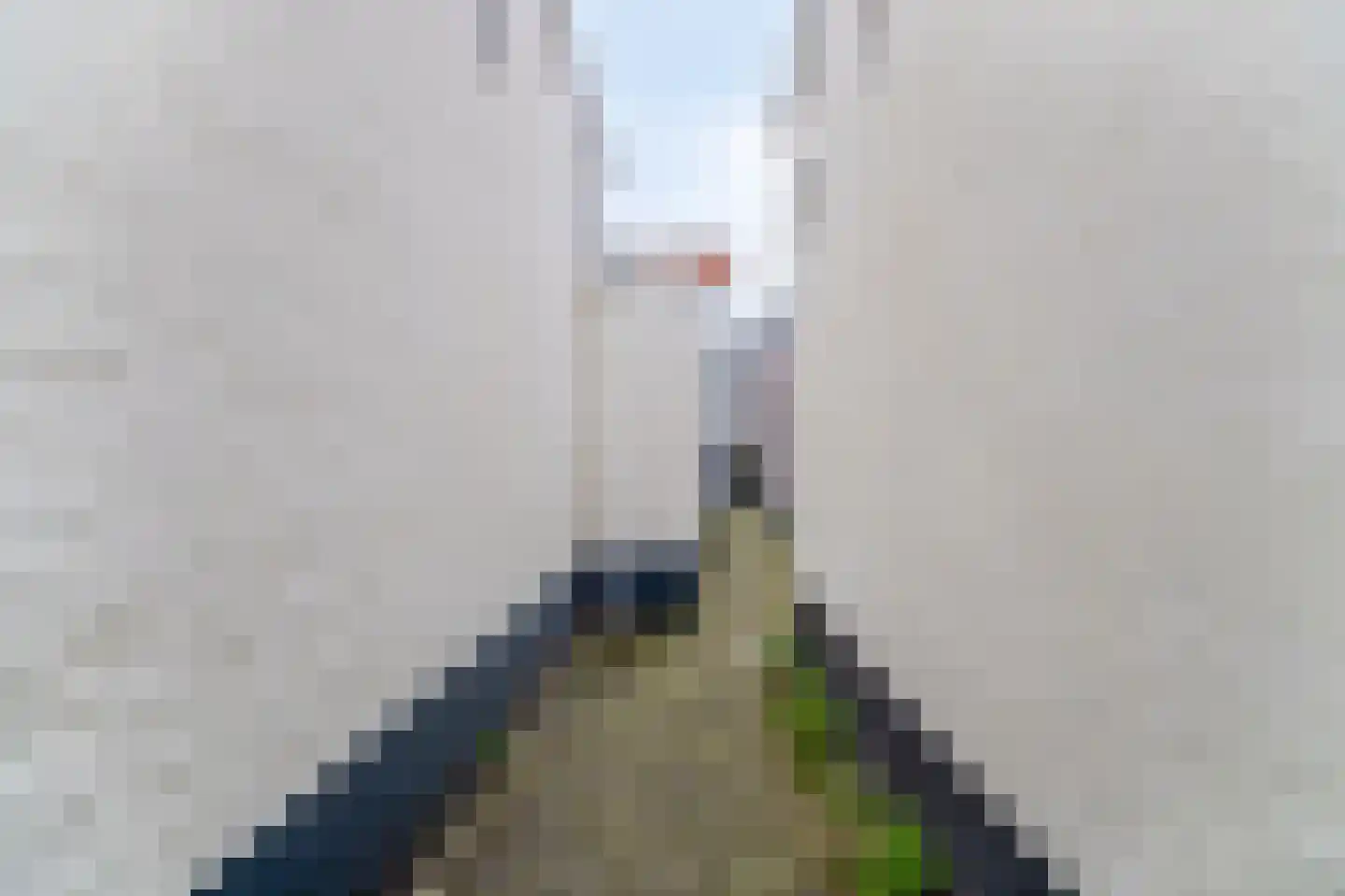 Vollersgracht 33 Leiden thumbnail 17