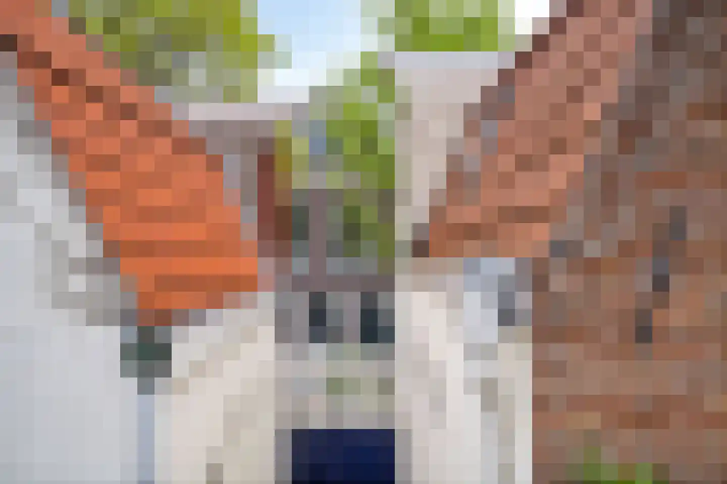 Vollersgracht 33 Leiden thumbnail 40