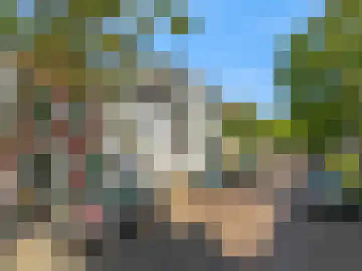 Vollersgracht 55 Leiden thumbnail 6