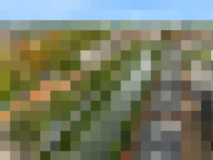 Vollerswaal 53 Hoorn thumbnail 4