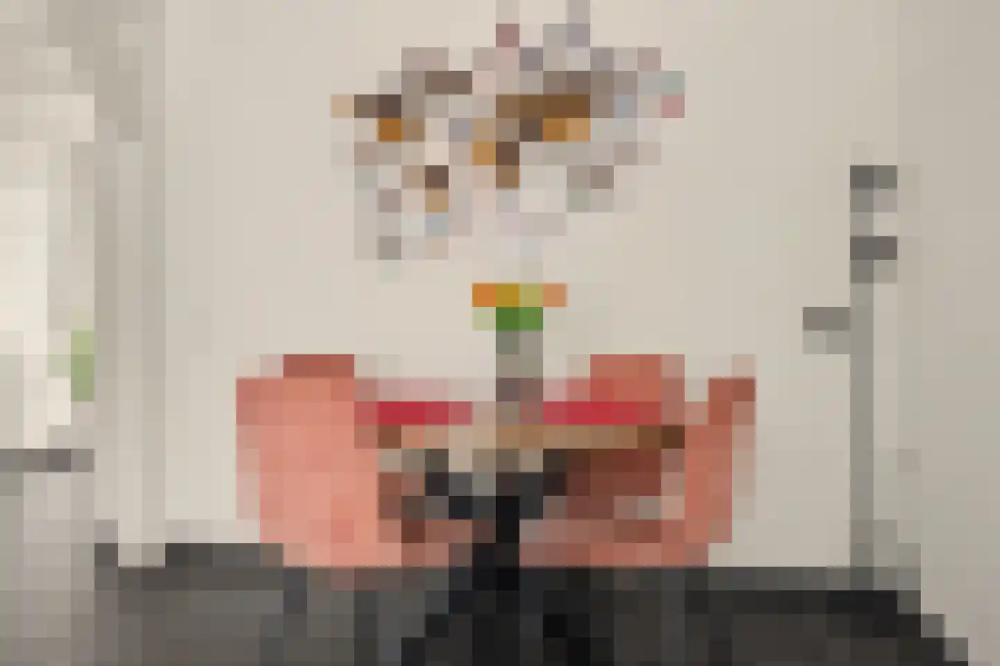 Vollevensstraat 19 Geertruidenberg thumbnail 13
