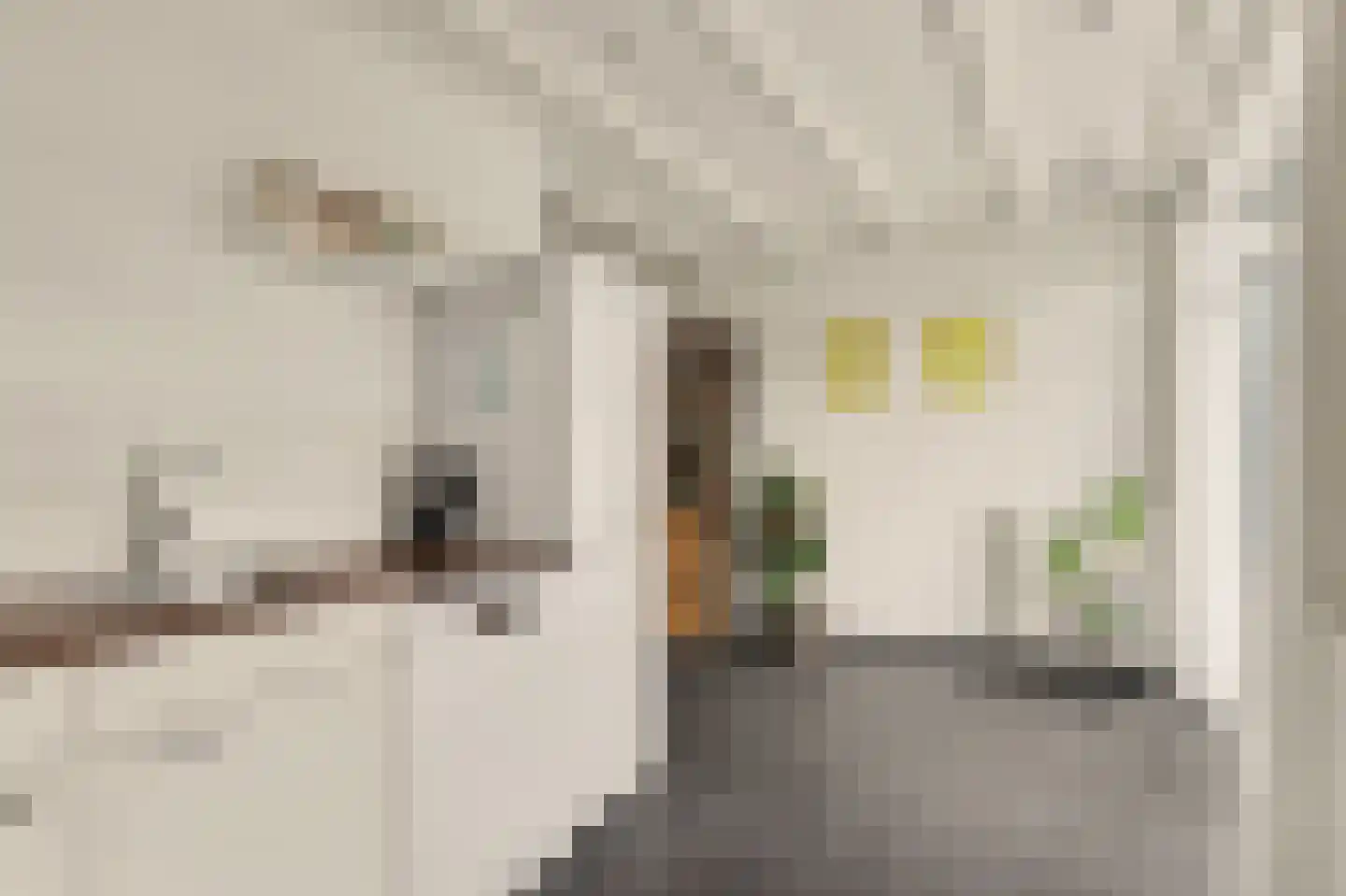 Vollevensstraat 19 Geertruidenberg thumbnail 15