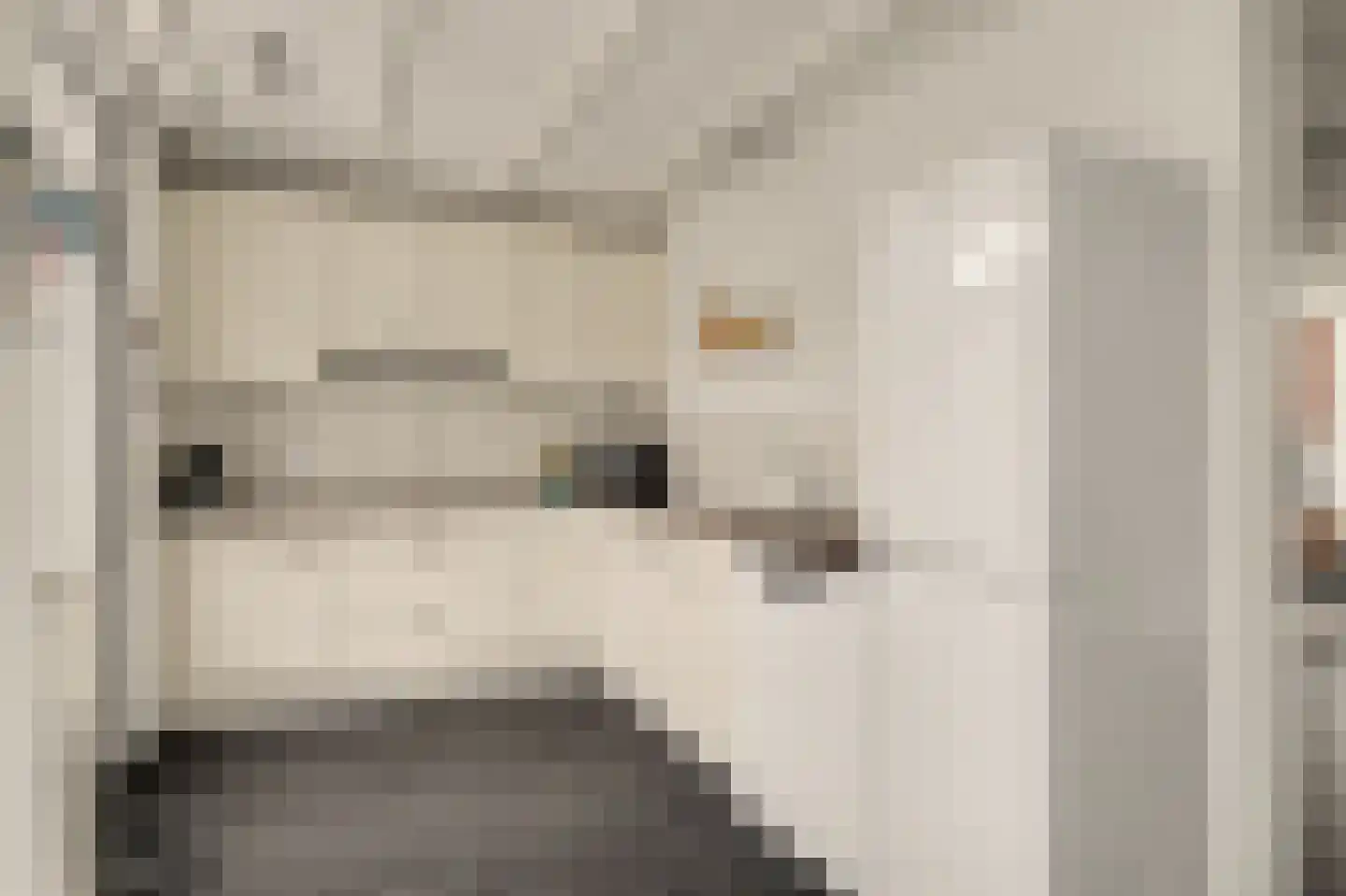 Vollevensstraat 19 Geertruidenberg thumbnail 17