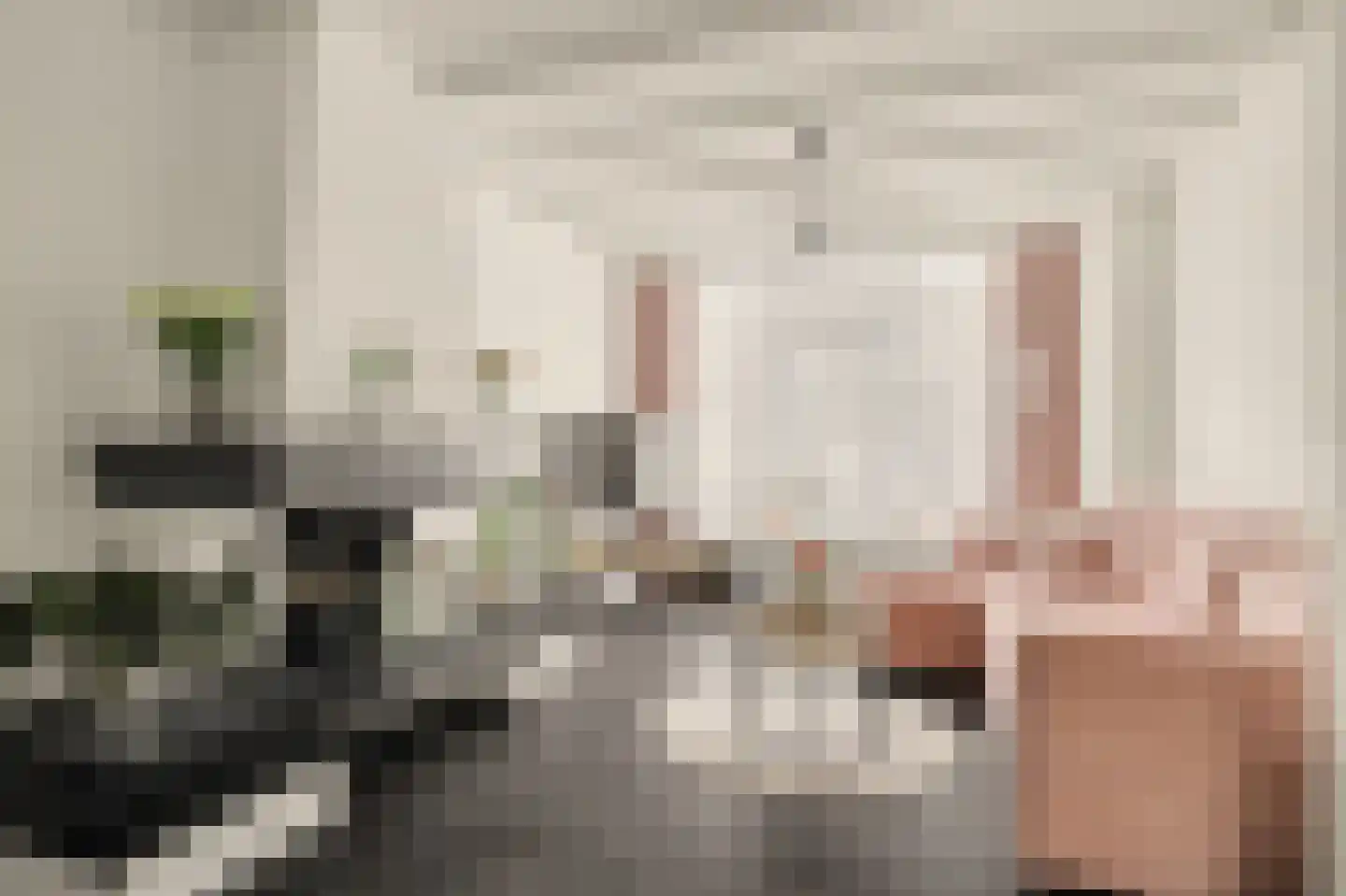 Vollevensstraat 19 Geertruidenberg thumbnail 5