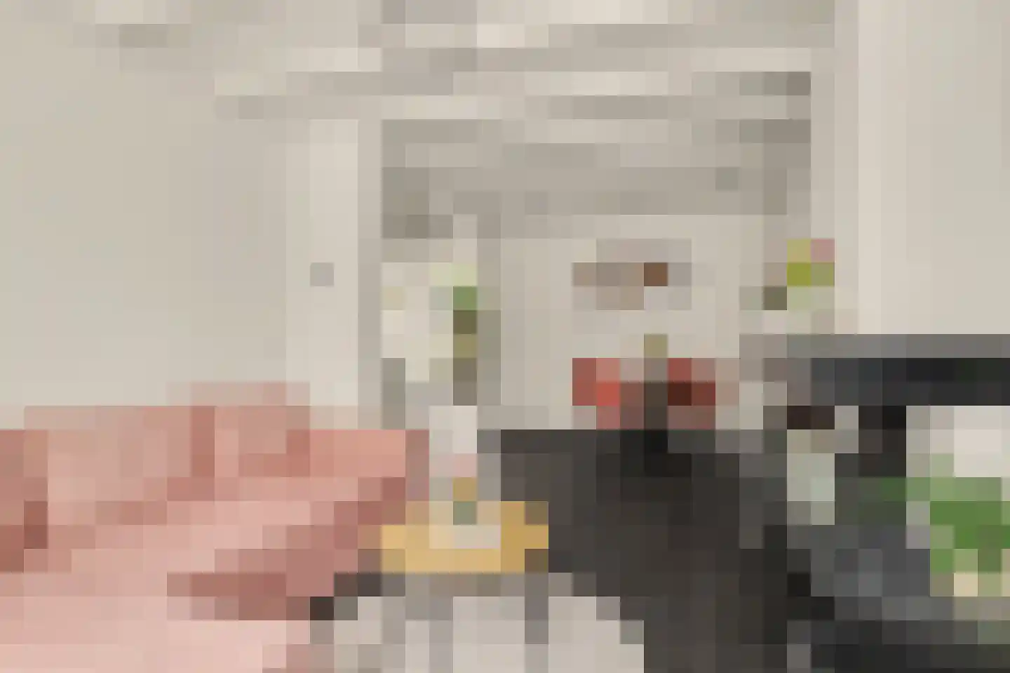 Vollevensstraat 19 Geertruidenberg thumbnail 6