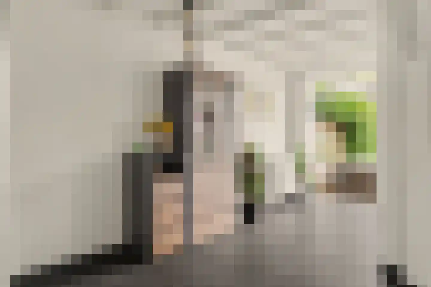 Vollevensstraat 19 Geertruidenberg thumbnail 8