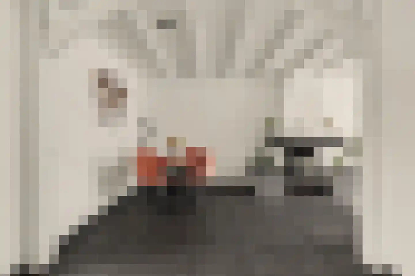 Vollevensstraat 19 Geertruidenberg thumbnail 9