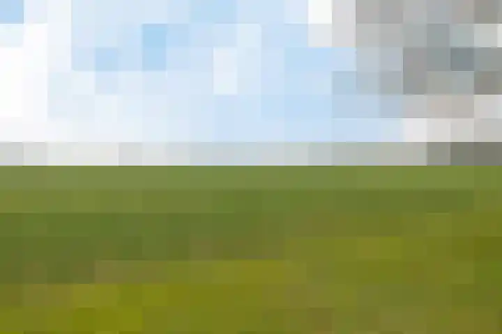Volmachten 18 Noord-Sleen thumbnail 42