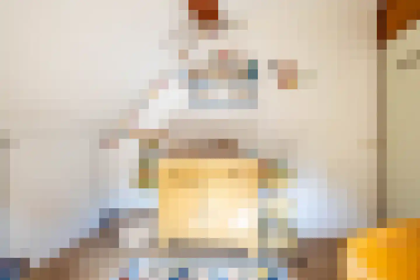 Volmachten 46 Vries thumbnail 36