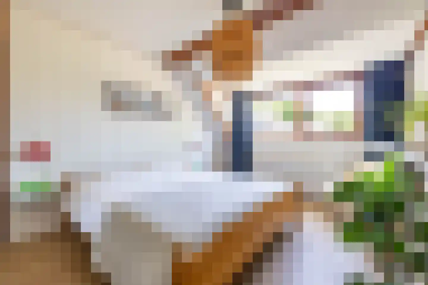 Volmachten 46 Vries thumbnail 38