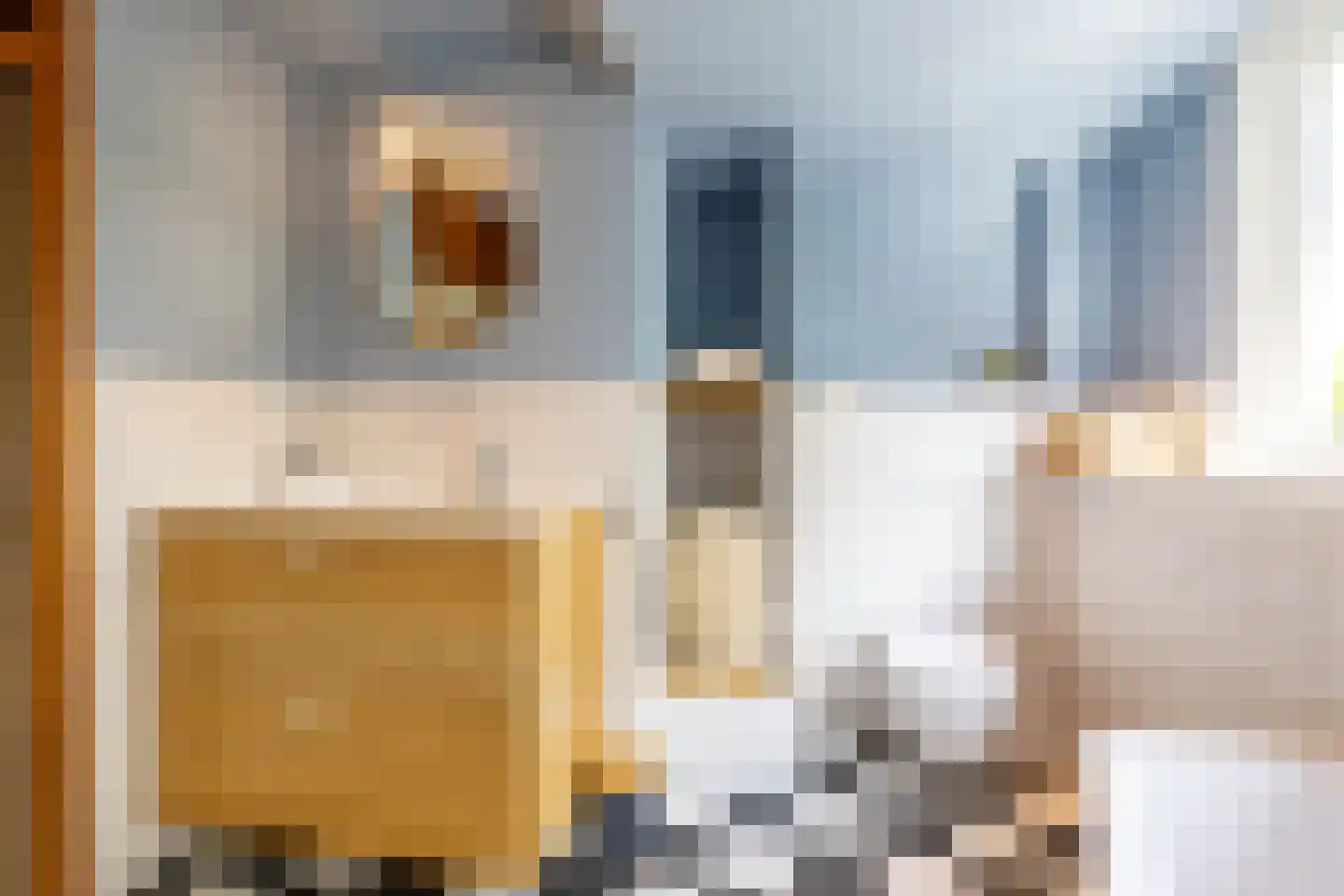 Volmachten 46 Vries thumbnail 43