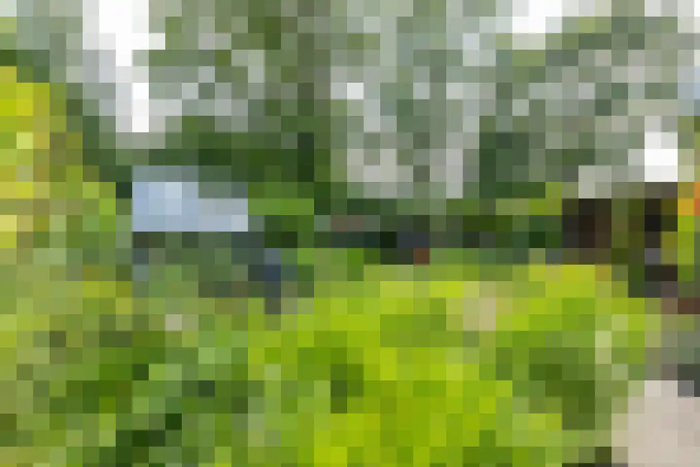 Volmachten 46 Vries thumbnail 54
