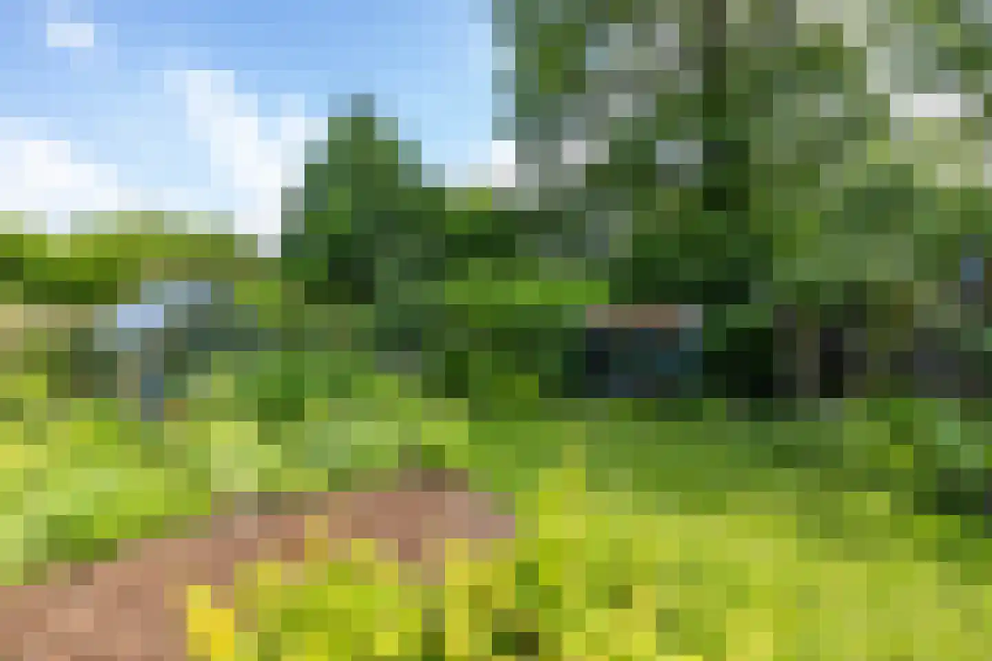 Volmachten 46 Vries thumbnail 55