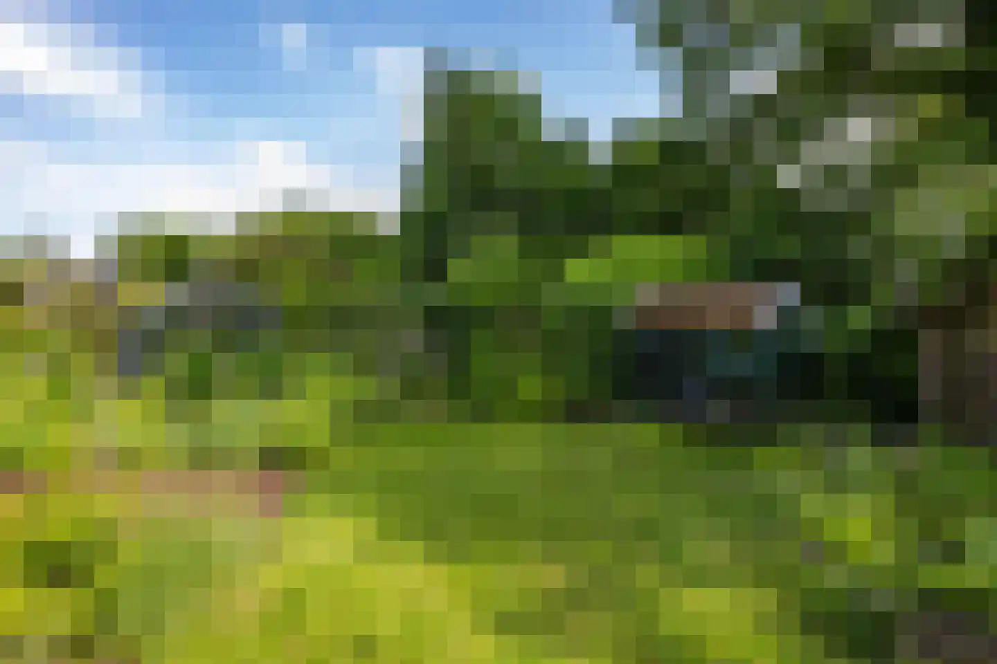 Volmachten 46 Vries thumbnail 56