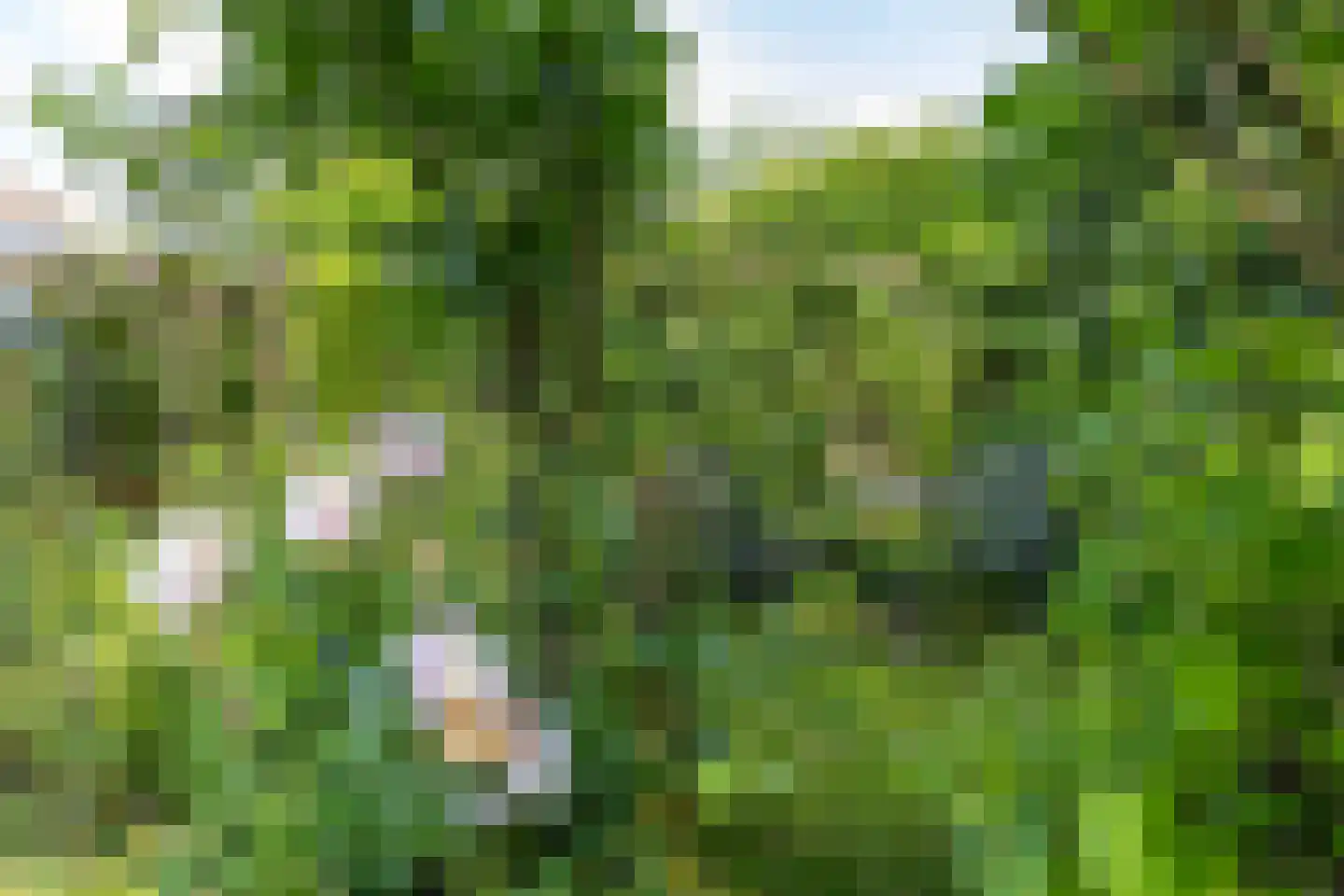 Volmachten 46 Vries thumbnail 58