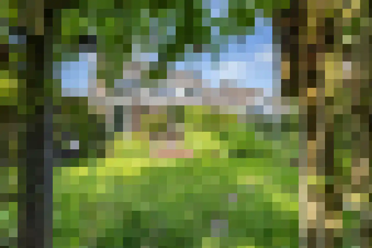 Volmachten 46 Vries thumbnail 60