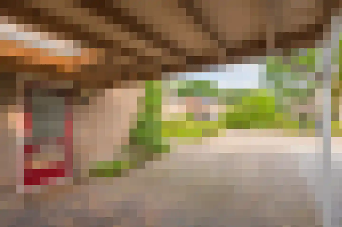 Volmachten 48 Vries thumbnail 14