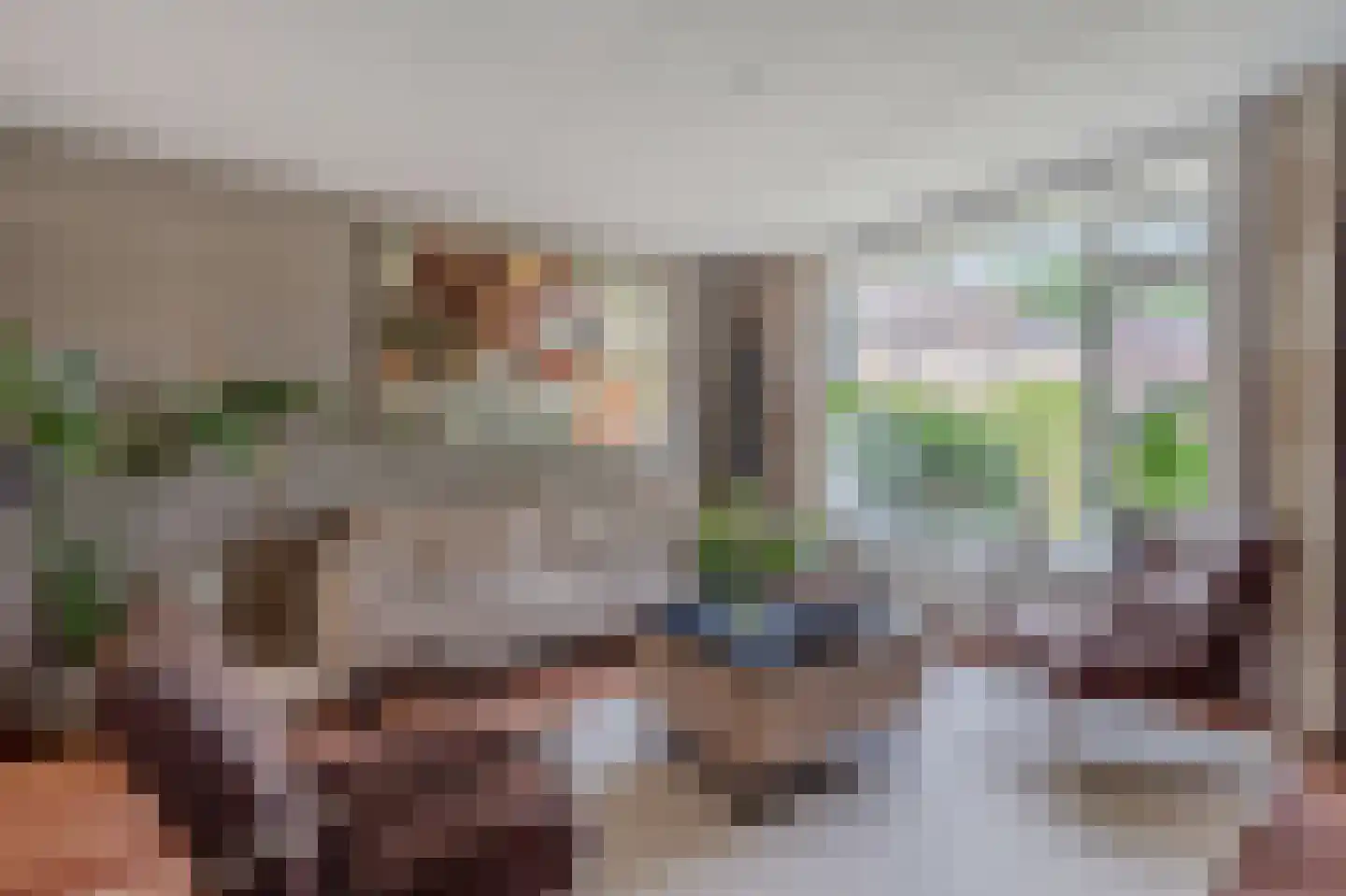 Volmachten 48 Vries thumbnail 17