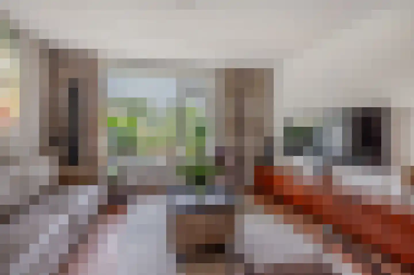 Volmachten 48 Vries thumbnail 18