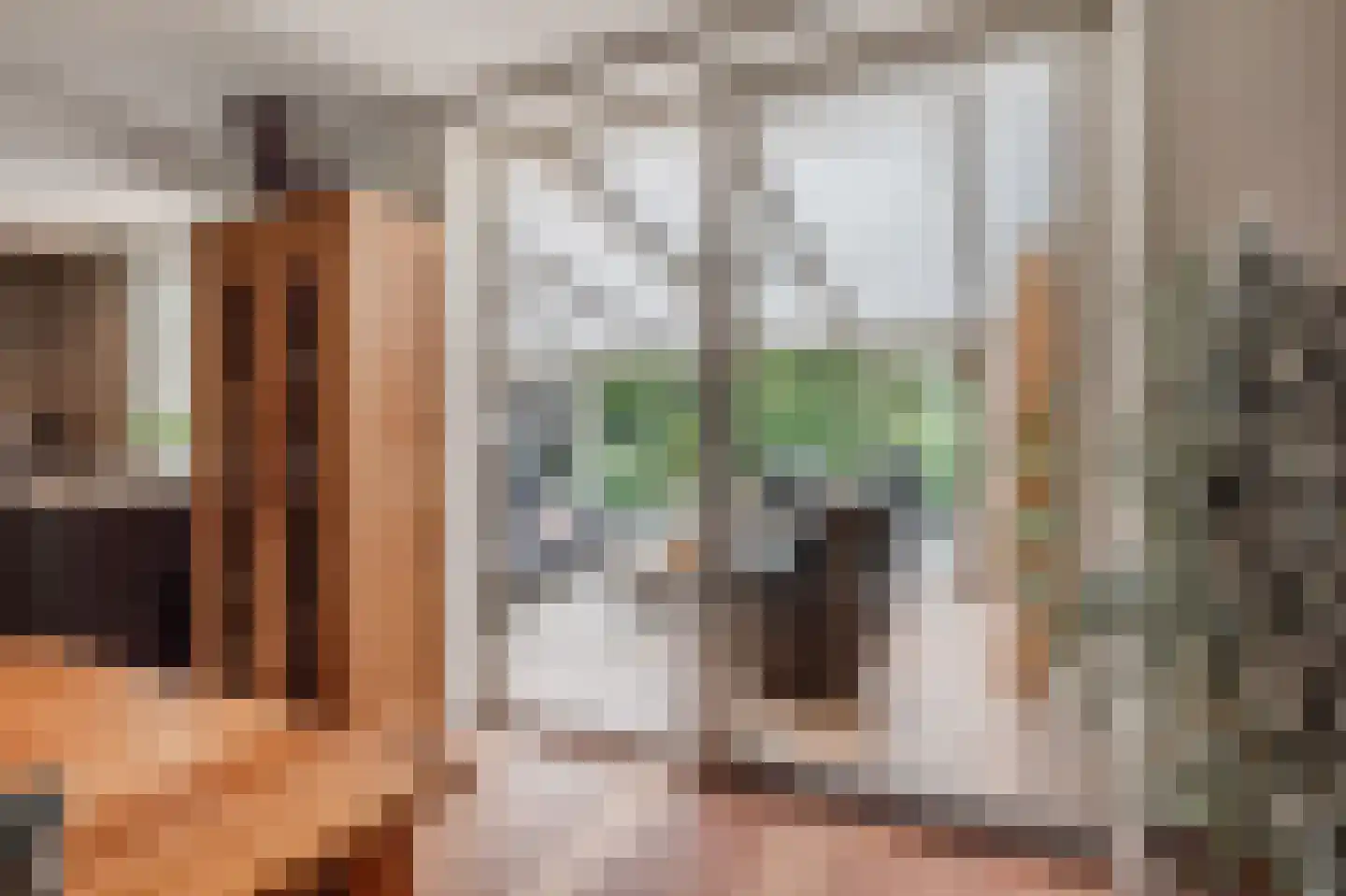 Volmachten 48 Vries thumbnail 25